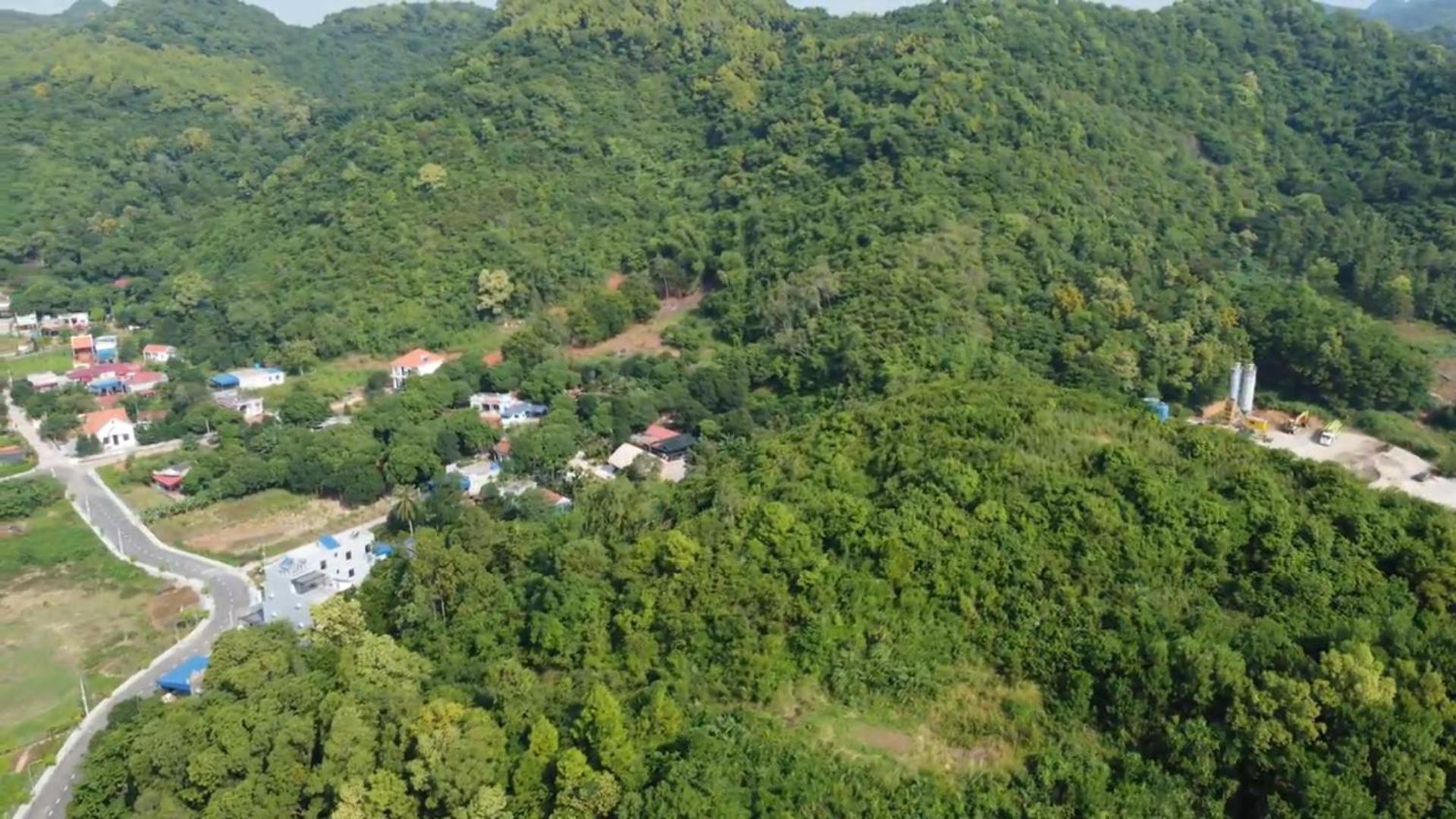 Bee Lucky Homestay Xuan Dam Exterior foto